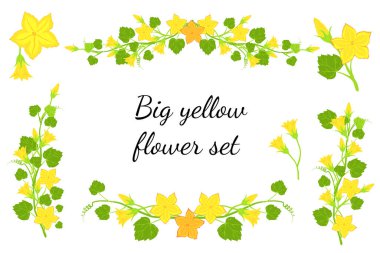 Sarı çiçek vektör seti. Yazdırma tasarımı, kart, duvar kağıdı, simge ve şablon için farklı botanik elementler.