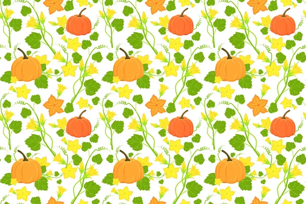 Calabaza Madura Dibujada Mano Flores Patrón Sin Costuras Ilustración Calabaza — Vector de stock