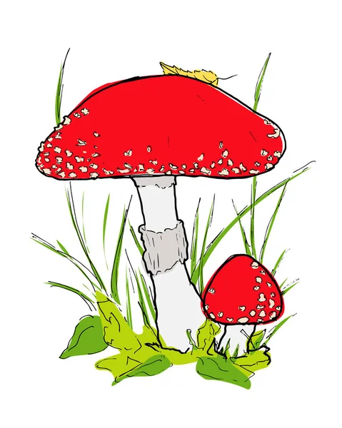 Illustration Vectorielle Champignon Rouge Grandes Petites Mouches Dans Herbe Clipart — Image vectorielle