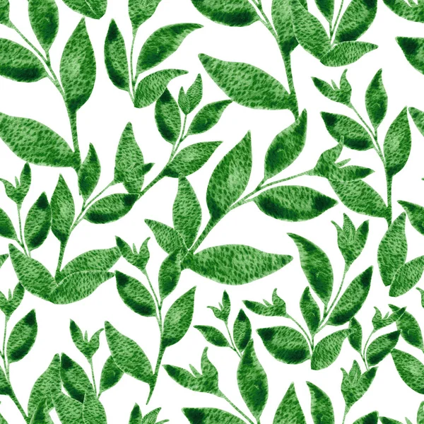 Verde Deja Patrón Sin Costuras Acuarela Ilustración Floral Dibujada Mano —  Fotos de Stock