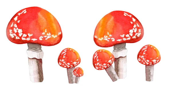 Fly agaric aquarela conjunto isolado no fundo branco — Fotografia de Stock