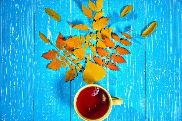 正方形の青い背景 上面に紅葉に近い熱いお茶のカップと秋の画像 — ストック写真