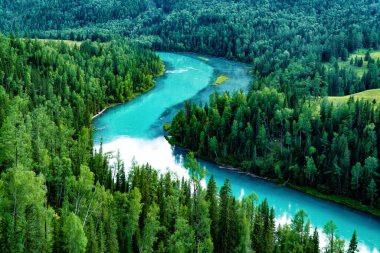 Summer in Kanas Lake, Altay, Xinjiang, China.Beautiful and quiet in summer in Kanas Lake, Xinjiang, China clipart