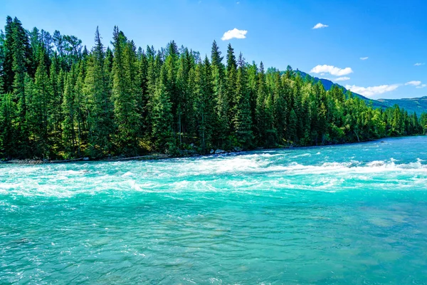 Verão Kanas Lake Altay Xinjiang China Beautiful Tranquila Verão Kanas — Fotografia de Stock