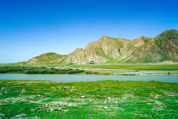 中国新疆合金县Bayanbulak草场 绿色草原自然保护区 — 图库照片