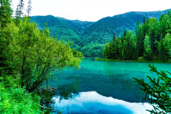 Yazın Kanas Gölü, Altay, Xinjiang, Çin. Yazın Kanas Gölü, Xinjiang, Çin 'de güzel ve sessiz.