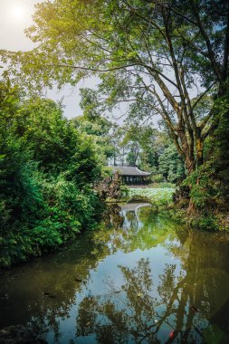 Du Fu Thatched Kır Evi Müzesi, Chengdu, Sichuan, Çin 'deki bambu ve gölet. Du Fu Kır Evindeki Göl