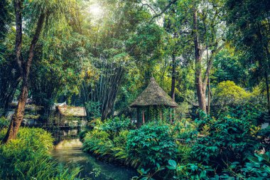 Du Fu Thatched Kır Evi Müzesi, Chengdu, Sichuan, Çin 'de bambu ve pavyon yaptım. Du Fu Kır Evindeki Göl