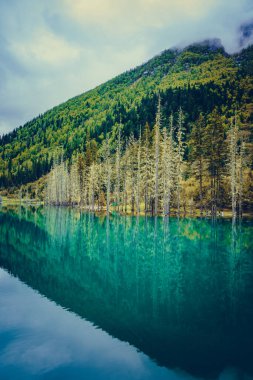 Shuangqiaogou, Siguniangshan, Sichuan, Çin 'deki Bonsai Sahili' nde bir göl. Dağ zirveleri ve renkli ağaçları olan güzel bir manzara. 