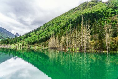 Shuangqiaogou, Siguniangshan, Sichuan, Çin 'deki Bonsai Sahili' nde bir göl. Dağ zirveleri ve renkli ağaçları olan güzel bir manzara. 