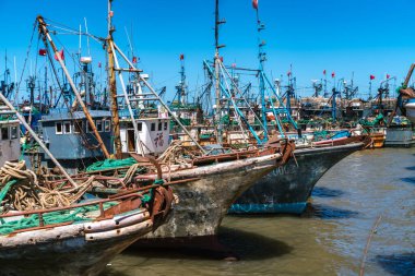 Balıkçı tekneleri Weihai, Shandong 'daki Yuanyao balıkçı limanına yanaştı.