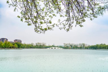 Yuyuantan Park 'ta bahar, Pekin, Çin. Yuyuantan Park Gölü' nde ada, Pekin, Çin