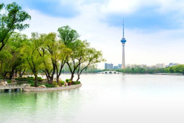 Yuyuantan Park 'ta bahar, Pekin, Çin. Yuyuantan Park Gölü' nde ada, Pekin, Çin