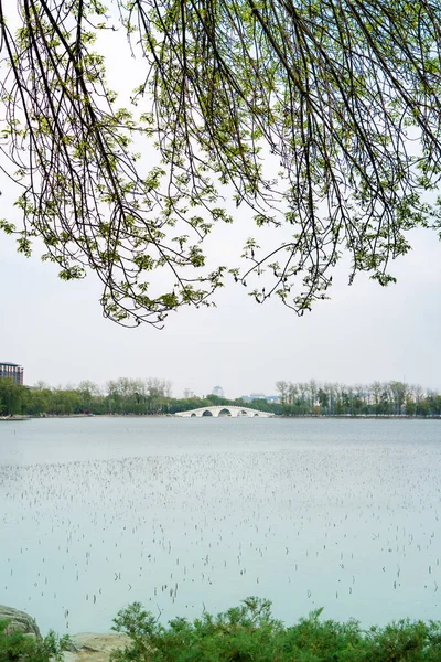 Wiosna Yuyuantan Park Pekin China Wyspa Jeziorze Yuyuantan Park Pekin — Zdjęcie stockowe