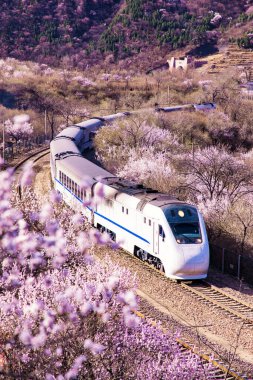 Chinese high-speed train crosses the Juyongguan Great Wall in Beijing.China Train Crosses Beijing's Juyong Mountain. clipart