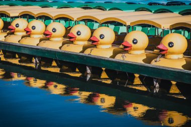 Pekin, Çin 'deki Pekin Parkı' nda sarı ördek teknesi. Beihai Park 'taki beyaz kule.