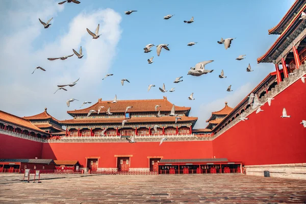 Pigeons on the Forbidden City Square in Beijing, China. Pigeons flying in front of the Red Wall in Beijing Forbidden City. Chinese translation of the plaque in the picture: Meridian Gate.
