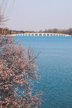 Pekin, Çin 'deki Yaz Sarayı' nda 17 delikli köprü. Pekin Yaz Sarayı 'nda İlkbahar