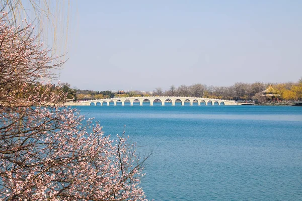 Siedemnastodołkowy Most Pałacu Letnim Pekinie Chiny Wiosna Pekinie Summer Palace — Zdjęcie stockowe