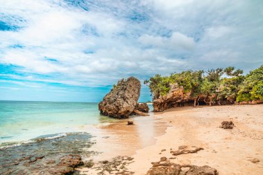 Emerald Plajı, Okyanus Fuarı Parkı, Okinawa, Japonya