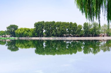 Yaz, Shichahai, Pekin, Çin 'de. Güzel Shichahai Gölü Adası ve köpüklü göl suyu