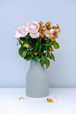 Pembe solmuş gül. Vazodaki pembe güller soldu..