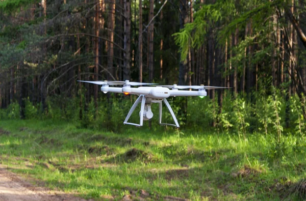 Drone Flies Summer Forest — Stock Photo, Image