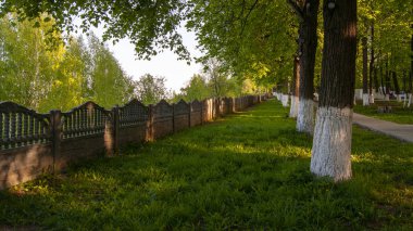 parkta çit ve beyaz badanalı ağaçlar