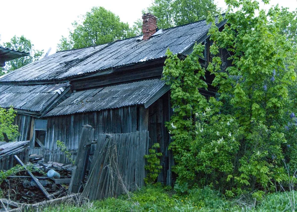 Velha Casa Abandonada Atrás Uma Árvore — Fotografia de Stock