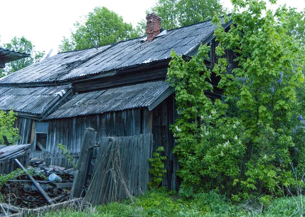 Starý Opuštěný Dům Stromem — Stock fotografie