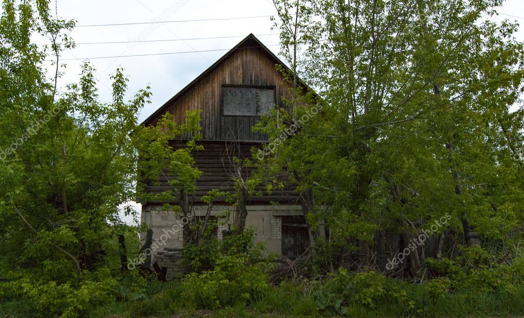 old abandoned house with boarded up windows in the undergrowth