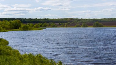 açık bir yaz gününde gölet in kıyı