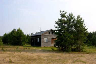 çam arasında eski terk edilmiş boş ev