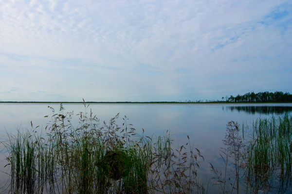 Велике Лісове Озеро Півночі — стокове фото