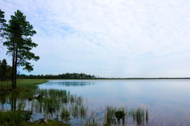 kuzeyde büyük orman gölü