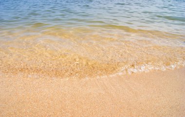 kumlu sahilüzerinde dalga