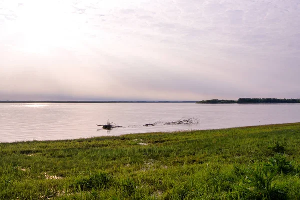 Зламане Дерево Лежить Річці — стокове фото