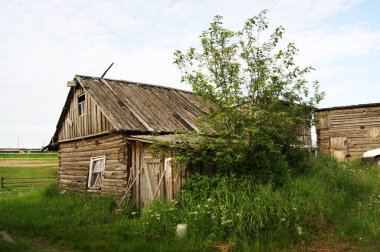 Yeşilliklerin arasındaki bir köyde terk edilmiş eski bir ev.