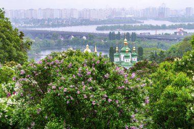 KYIV, UKRAINE - 5 Mayıs 2019: 5 Mayıs 2019 tarihinde Ukrayna 'nın başkenti Kyiv' de bulunan Dinyev Nehri ve Vydubychi Manastırı 'nın arka planındaki Hryshko Ulusal Botanik Bahçesi' nde leylak çiçeklerinin panoramik görünümü. 