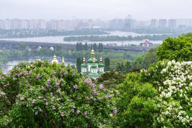 KYIV, UKRAINE - 5 Mayıs 2019: 5 Mayıs 2019 tarihinde Ukrayna 'nın başkenti Kyiv' de bulunan Dinyev Nehri ve Vydubychi Manastırı 'nın arka planındaki Hryshko Ulusal Botanik Bahçesi' nde leylak çiçeklerinin panoramik görünümü. 