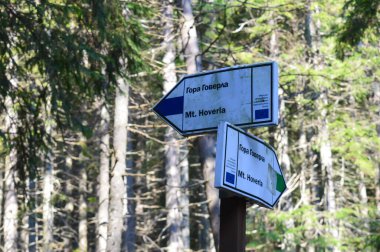 Ukrayna 'nın en yüksek Karpat dağı Hoverla' ya giden yol, 20 Ağustos 2018 'de Ukrayna' nın Karpat Dağları 'nda bulutlu bir yaz günü..