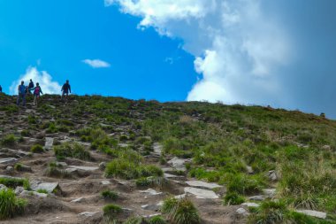 Ukrayna 'nın en yüksek Karpat dağı Hoverla' ya giden yol, 20 Ağustos 2018 'de Ukrayna' nın Karpat Dağları 'nda bulutlu bir yaz günü..