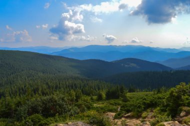 Hoverla 'dan panoramik manzara, Karpatya dağları, Ukrayna. Yatay açık hava çekimi