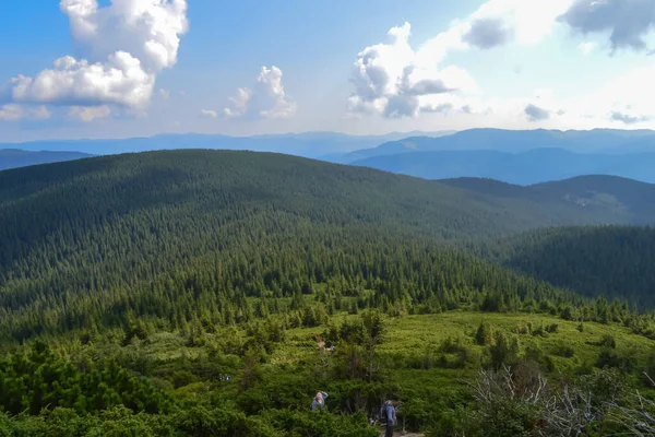 Karpaty Ukraina Droga Hoverla Najwyżej Położonej Ukraińskiej Góry Pochmurny Letni — Zdjęcie stockowe