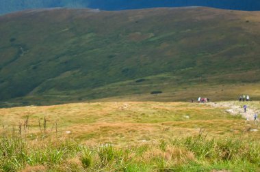 Karpat Dağları, Ukrayna: Bulutlu bir yaz gününde Ukrayna 'nın en yüksek dağı Hoverla' ya giden yol