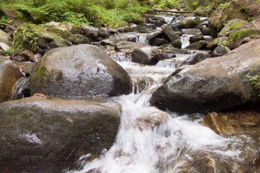 Ukrayna 'nın Karpat Dağları: Bulutlu bir yaz gününde Ukrayna' nın en yüksek dağı olan Hoverla 'ya giden yol