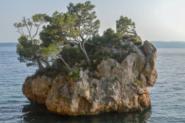 Hırvatistan 'ın Brela tatil beldesindeki Adriyatik Denizi plajı. Hırvatistan 'ın Dalmaçya kenti Makarska Riviera' nın Brela tatil beldesindeki Punta Rata plajındaki ada