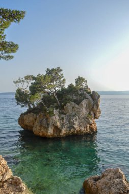 Hırvatistan 'ın Brela tatil beldesindeki Adriyatik Denizi plajı. Hırvatistan 'ın Dalmaçya kenti Makarska Riviera' nın Brela tatil beldesindeki Punta Rata plajındaki ada