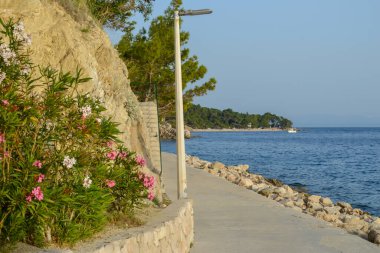 Hırvatistan 'ın Brela tatil beldesindeki Adriyatik Denizi plajı.