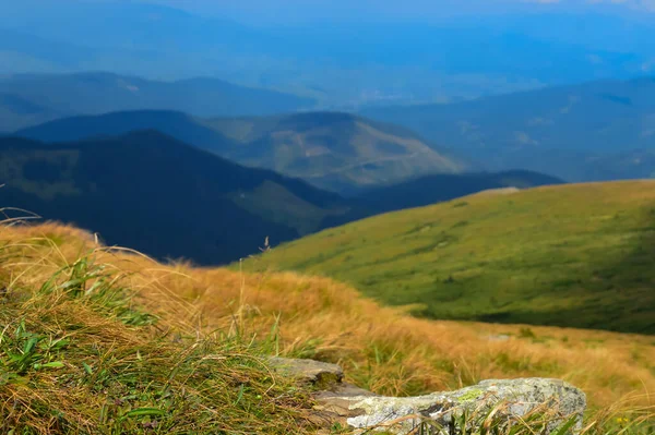Ukrayna 'daki Karpat Dağları' ndaki Hoverla 'ya giden kuru sarı çimenlikteki taş. Yatay açık hava çekimi